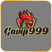 logo_gavip999